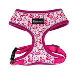 AllPetSolutions Dog Harness - Cool Pet Vest with Back D-Ring for Dog Lead Clips - Mesh Puppy Harness with Soft Padding - Training Stuff and Supplies for Small, Medium, Large Dogs - S, Pink Flamingos