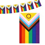 Progress Pride Rainbow Trans Bunting, 40 Rectangle UV Fade Resistant Fabric Flags for Celebration, 10M/32.8FT Gay Lesbian Bisexual Pansexual Banner for Garden Outdoor Indoor Decorations