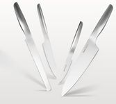 HAST 4-Piece Premium Design Knife Set, Razor-Sharp Professional Knife Set, Japanese Carbon Steel, Lightweight, Ergonomic & Award-Winning Design, Sleek Stainless Steel Essential Kitchen Knife Set