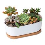 FURN ASPIRE Ceramic Planter Pot with Bamboo Tray Decorative Indoor Ceramic Pots for Plants (Note: Plants are not Included)