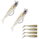 2 Sets Fishing Lures Set Metal Head Freshwater Sea Fish Lures Fishing Jigs for Saltwater Freshwate Pike Bass Lures