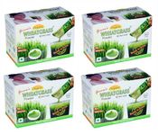 Girme's Wheatgrass Powder 3gx30 Sachets (Pack of 4)