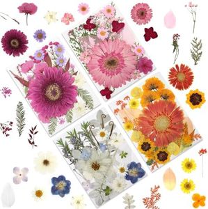 LUXEEASE 100P Vibrant Colors Large Dried Pressed Flowers