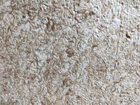 Silk Plast Liquid Wallpaper-Spy 17 (White and Brown) 960 GMS