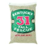 Barenbrug Kentucky 31 Tall Fescue Grass Seed 1000 Sq. Ft. Polybagged 5 Lb.