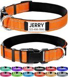 Joytale Personalized Dog Collars, R