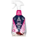 Astonish Oxy Active foaming carpet stain remover 750ml