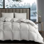 Hotel Grand White Goose Down Fiber Comforter Full Queen Size - All Season Hotel Style Down Duvet Insert Fluffy Medium Warmth Comforter - 1cm Breathable Panel Comforter with 8 Corner Loops, 90" x 90"