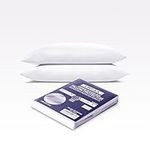 IMFAA Anti-Bug and Waterproof Zipped Pillow Protector Pack of 2 - Soft and Comfortable Pillowcase Protectors - Ant-Allergy and Breathable Pillow Cover. (2 x Anti-Bug-Zipped)