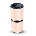 Wellinzer TAG5 Car Air Purifier Ionizer - Releases 10 Million Negative Ions - Kills 99.9% Viruses - Removes Dust - Portable - Designed in Germany - (Champagne Gold)