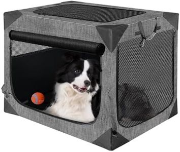 Nottia Dog