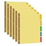 Amazon Basics 3 Ring Binder Divider