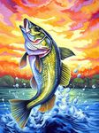 GIEAAO 5D Diamond Painting Kit Fish, Paint with Diamonds Art Fishing, Paint by Numbers Full Drill Round Rhinestone Craft Canvas for Home Wall Decor 12x16 inch