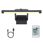 HONGUT Rechargeable Picture Light, Picture Frame Lighting,Painting Light with Remote, 48 Super Bright LEDs,12 Color Changing Accent Light,250LM Dimmable Timer Display Light for Art,Dartboard