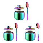 TUPMFG 3-Piece Seasoning Box with Spoon and Lid 304 Stainless Steel Condiment Canisters Pots Seasoning Jars for Spice Salt Sugar-Rainbow