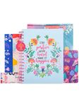 Doodle I The Happiness Planner I B5 Planner + 64 Pages Pocket Book+ 250+ Stickers and Free Premium Gift Box | Tear Away Note Cards & Quote Cards | Activity Pages | To do lists I 268 Pages I 80 GSM I Wiro Bound (Happiness Mantra)