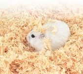 Pets Empire Hamster Bedding Wood Shaving for Hamster,Chinchillas,Guinea,Pig,Mice,Rabbit - Dust Free 1 Kg