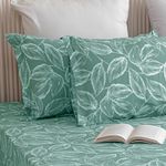 HOMEMONDE Leaf Printed Pillow Covers - 210 TC Soft Luxurious 20x30 Inch Bedding Pillow Case Pack of 2, (Queen Size - 50x76 CM, Aqua Blue)