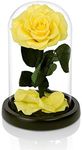 NATROSES Handmade Preserved Roses in Glass Dome, Long lasting Yellow Roses Real, Flowers for Women