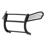 Aries 2065 Black Grille/Brush Guard