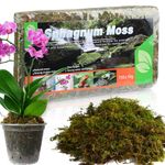 GOTVUGE Sphagnum Moss for Plants (5L / 1pc), Suitable for Various Plants, Including Orchids, Carnivorous Plants, Succulents, Garden Flowers, and Reptiles