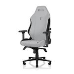 Secretlab Titan Evo 2022 Ash Gaming Chair - Reclining, Ergonomic & Comfortable Computer Chair with 4D Armrests, Magnetic Head Pillow & 4-Way Lumbar Support - Gray - Hybrid Leather