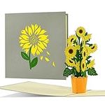 Birthday Card featuring 3D Flowers for Her | Cheerful Sunflower Pop up Card | Greeting Card or Gift Voucher Card for Birthday, Mothers Day, for Women, F21