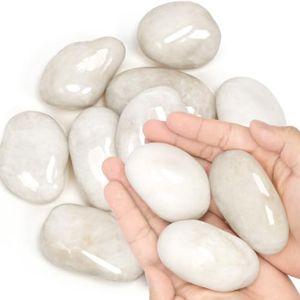 AQUALYRA Large Natural Polished River Rocks (2-3 Inch, 43 lb, White)