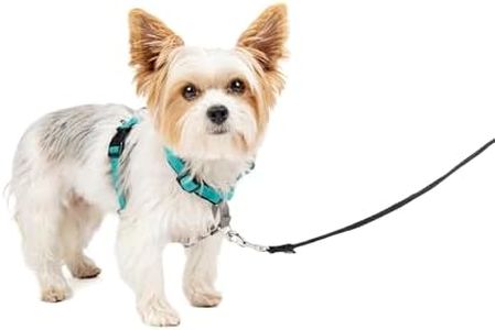 PetSafe 3 in 1 Harness and Car Restraint, Extra Small, Teal, No Pull, Adjustable, Training for Small/Medium/Large Dogs