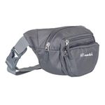 NFI essentials Waist Bag Travel Handy Hiking Zip Camera Pouch Money Phone Belt Sport Bag Bum Multipurpose Belt Bag for Men and Women Polyester Waist Pack Fanny Pack Mobile (Grey)