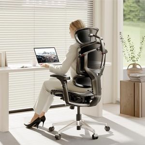 FLEXISPOT 