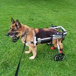 Diy Dog Wheelchairs