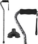 Walking Cane for Women & Men, Foldi