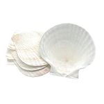 Fox Run Large Natural Baking Shells