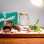 ByTheLeaf DIY Terrarium Kit with Live Plants and Moss