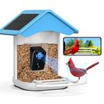 BROAIMX Smart Bird Feeder Camera, Free AI Forever, 2023 Newest 1080P HD Camera Auto Capture Bird Videos & 2 Pcs Solar Panel, App Notify When Birds Detected, 64G High-Speed TF Card