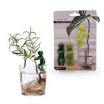 PELEG DESIGN Leafriend: Plant Propagation Buddy; Plant Support for Sprouts, Stems, Shoots, and Cuttings; 3 Cute Plant Supports for a Plant Propagation Station or an Indoor Garden; Plant Lover Gifts