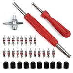 Tyre Valve Core Tool Set, Dual & Single Head Valve Core Remover Tire Repair Tool, 1 Pcs 4-Way Valve Tool, 10 Pcs Tire Valve Caps, 20 Pcs Schrader Valve Cores for Car/Bike/Bicycle/Motorcycle/Truck