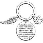 JMIMO Cat Dog Memorial Gifts Keyring Loss of Dog Gifts Pet Sympathy Gifts for Dogs Jewelry