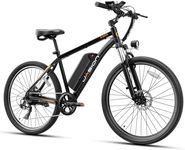 Jasion EB5 Electric Bike for Adults