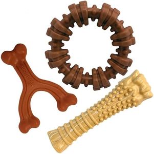 Nylabone P