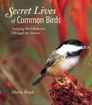 Secret Lives Of Common Birds: Enjoying Bird Behavior Through the Seasons
