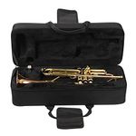 Hapihom Portable Trumpet Storage Box Adjustable Straps Trumpet Case Thickened Lightweight Backpack Wind Instruments Accessories black