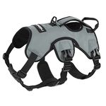 rabbitgoo Escape-Proof Dog Harness Medium with Large Handle, Anti-Pull Reflective Working Service Dog Harness, Breathable Pets Vest, Adjustable Lift Support Body Harness Small Dog Outdoor, S, Grey