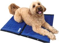 CoolerDog Dog Cooling Pad Dog Cooli