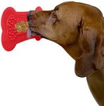 Lick Lick Pad Dog Accessories | Pet Shower Attachment | Dog Peanut Butter Lick Pad | Dog Bathing Station | Dog Bathing Supplies | Veterinarian Used | Suction to Wall | Large