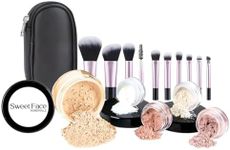 16pc STARTER KIT with 10 BRUSHES SE