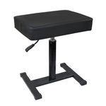 Kadence Height Adjustable Piano Bench - Hydraulic Lifting Keyboard Bench with Density Sponge Material (Heavy Duty Piano Stool)