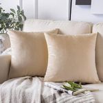 Amazon Brand - Umi Velvet Decorative Cushion Cover 12x12 Inch - Set of 2, Soft Solid Square Throw Pillow Covers for Sofa, Living Room or Home Decor - 30x30 cm in Beige Color