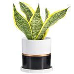 Ekirlin 6 inch Plant Pot - Ceramic Flower Planters Indoor - Modern Succulents Containers with Drain Hole Saucer, Decorate Home, Office & Outdoor (Black)